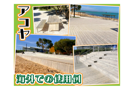 真夏でも問題を起こさない『アコヤ』～海外での使用例～
