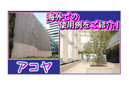 【環境性能抜群】「アコヤ」の海外使用例をご紹介！