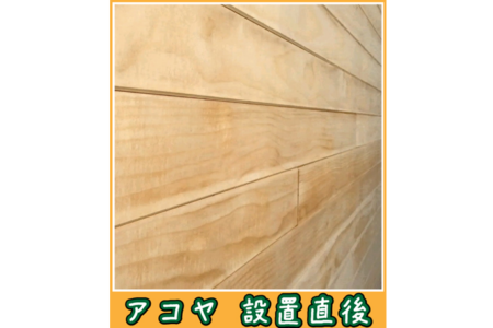 【 アコヤ 】様々な木目でお楽しみください